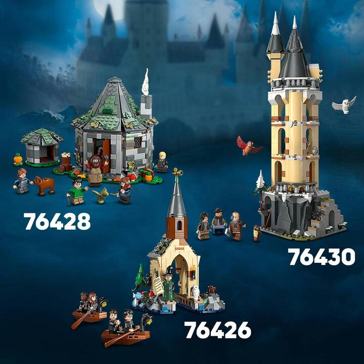 LEGO Harry Potter La Capanna di Hagrid: una visita inattesa (76428)