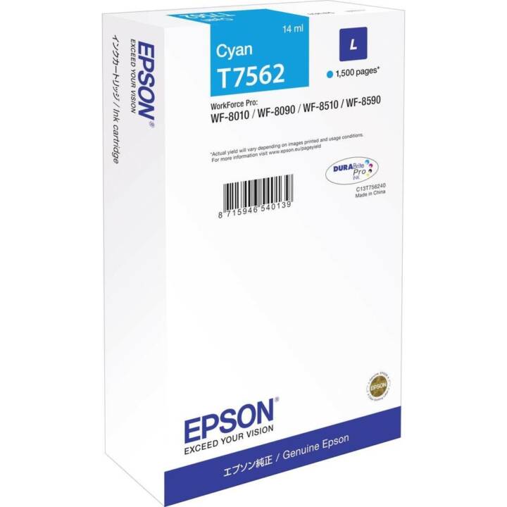 EPSON C13T756240 (Cyan, 1 pezzo)