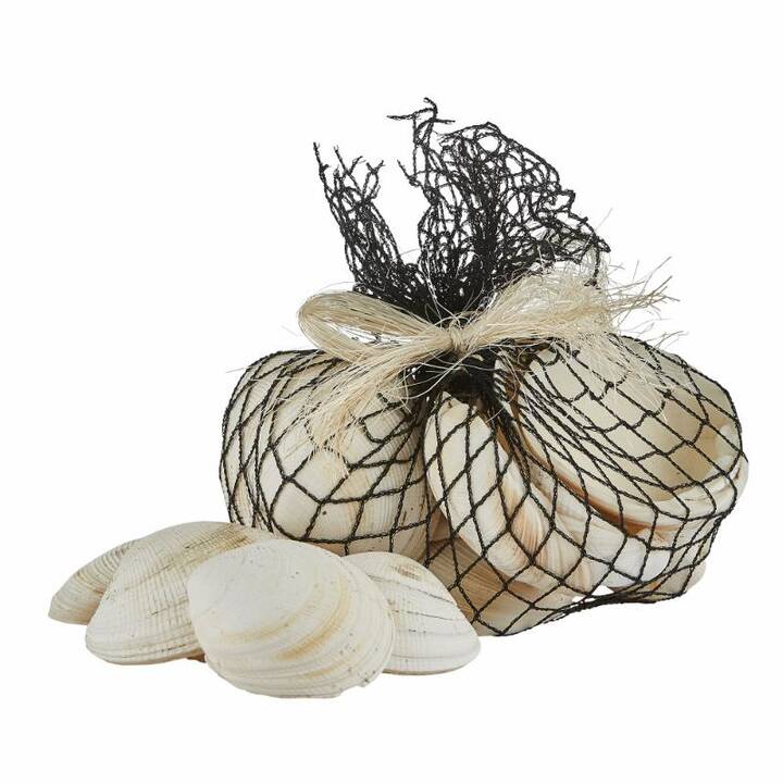 LENE BJERRE Organes diffuseurs (Coquillage, 1 pièce)