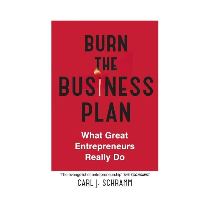 Burn the Business Plan