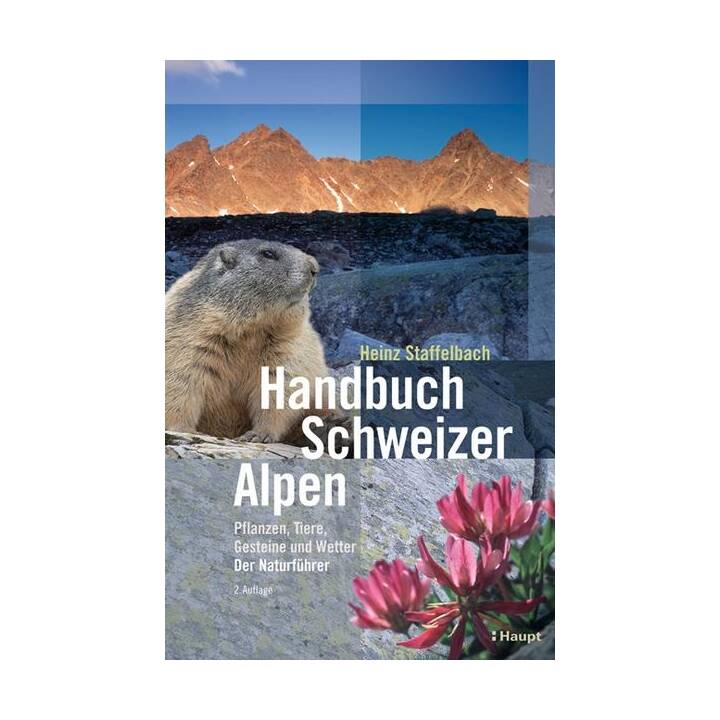 Handbuch Schweizer Alpen