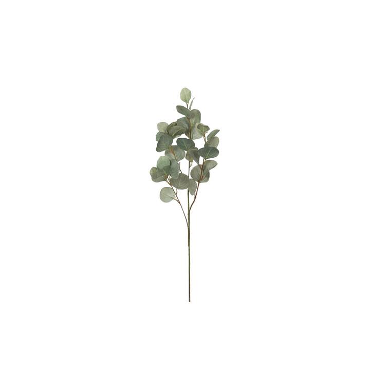 BOTANIC-HAUS Fleur artificielle (Vert)
