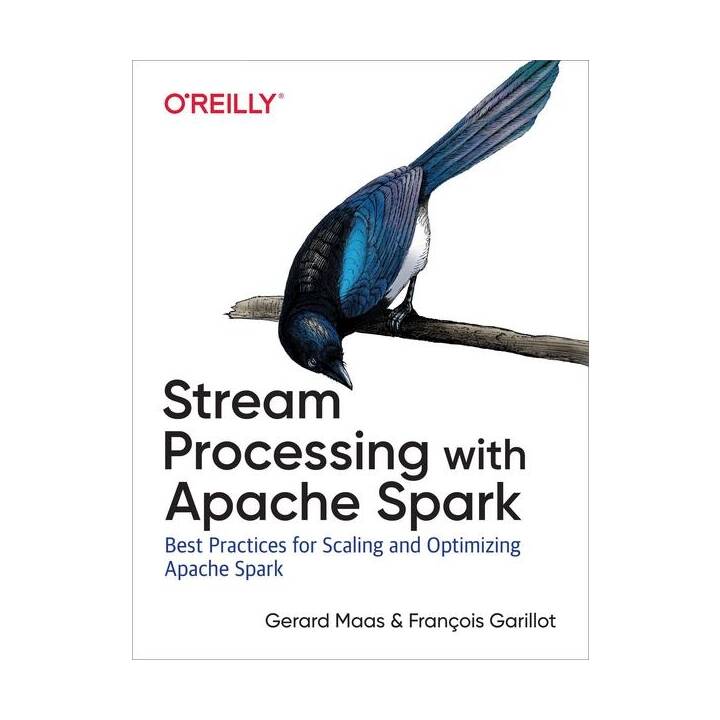 Stream Processing with Apache Spark