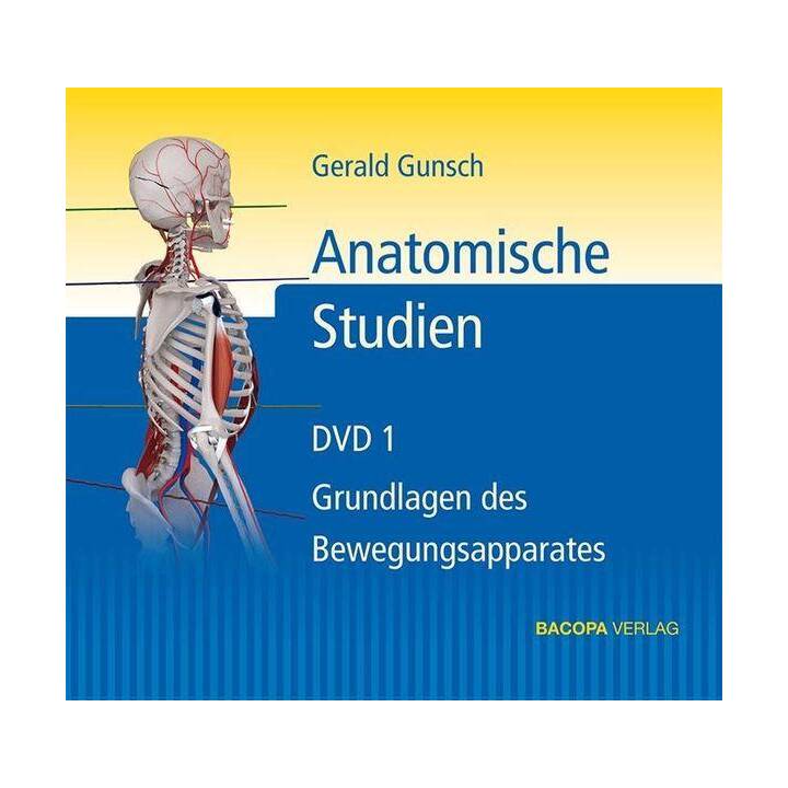 Anatomische Studien
