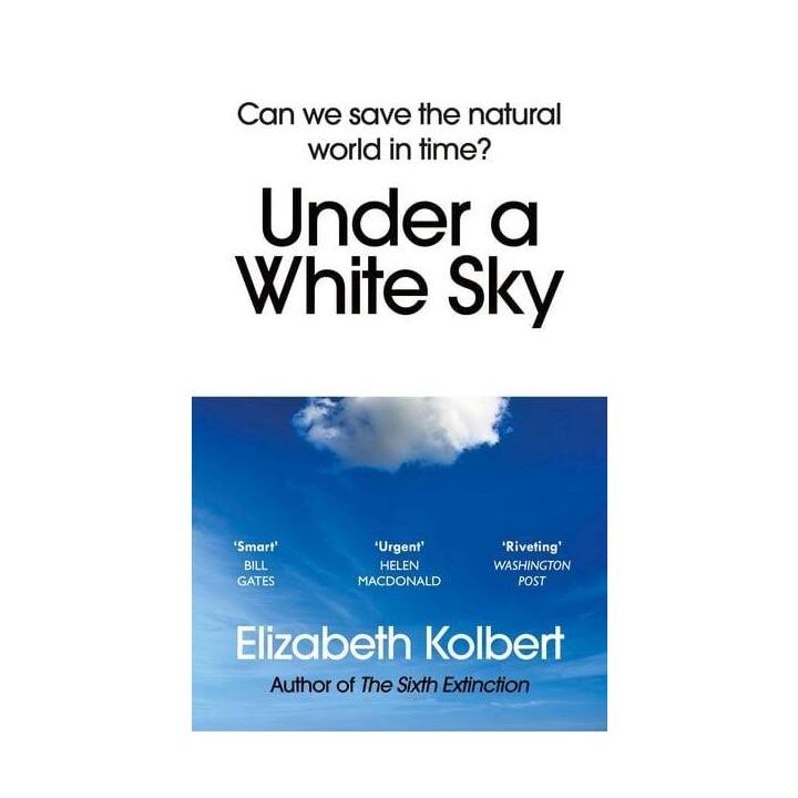 Under a White Sky