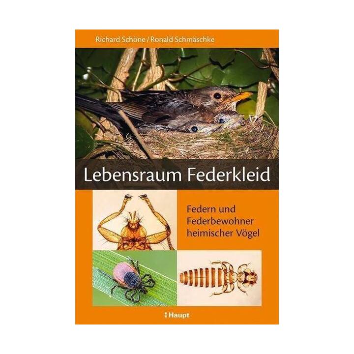 Lebensraum Federkleid