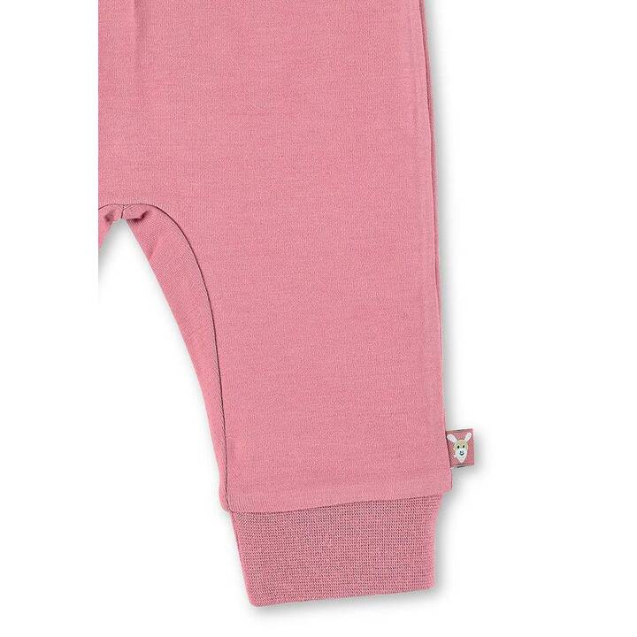 STERNTALER Pantalons pour bébé Emmi (62, Pink)