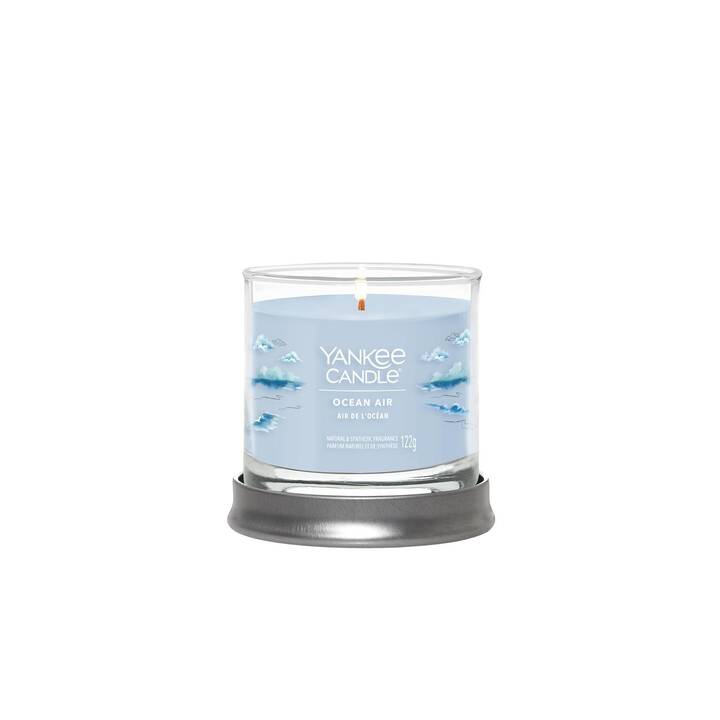 YANKEE CANDLE Bougie parfumée Ocean Air