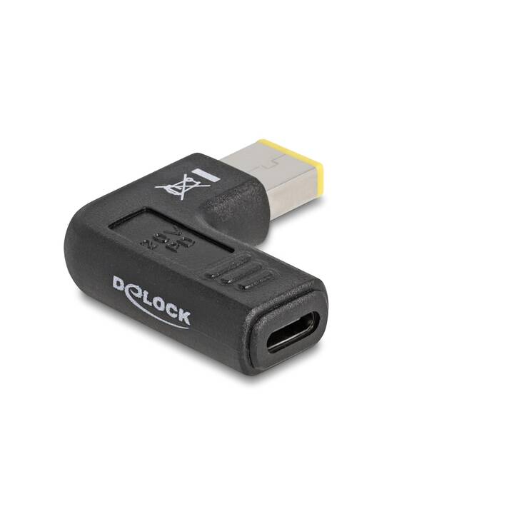 DELOCK Bloc d'alimentation (USB C, 0.04 m)