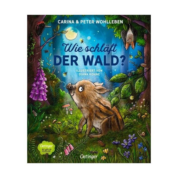 Wie schläft der Wald?