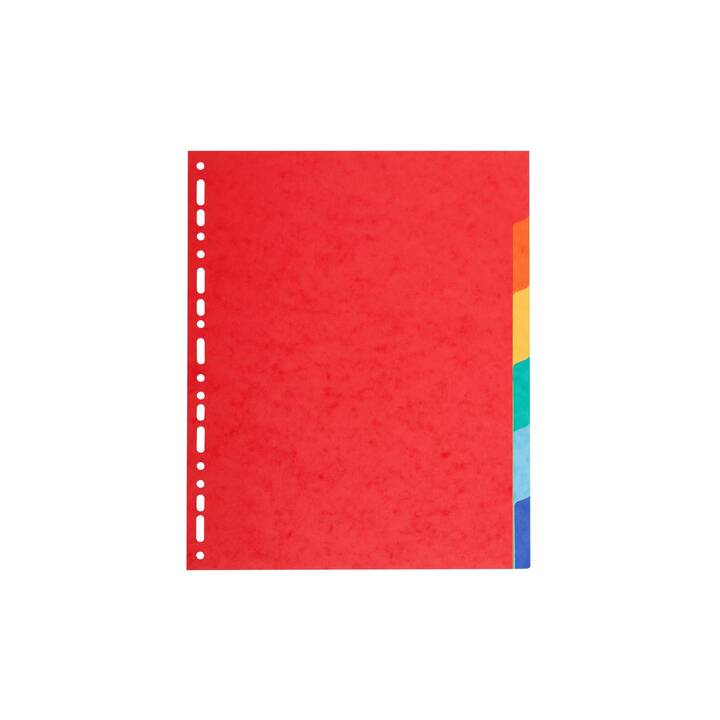 BIELLA Top Color Répertoire (6 x A4, Coloré)