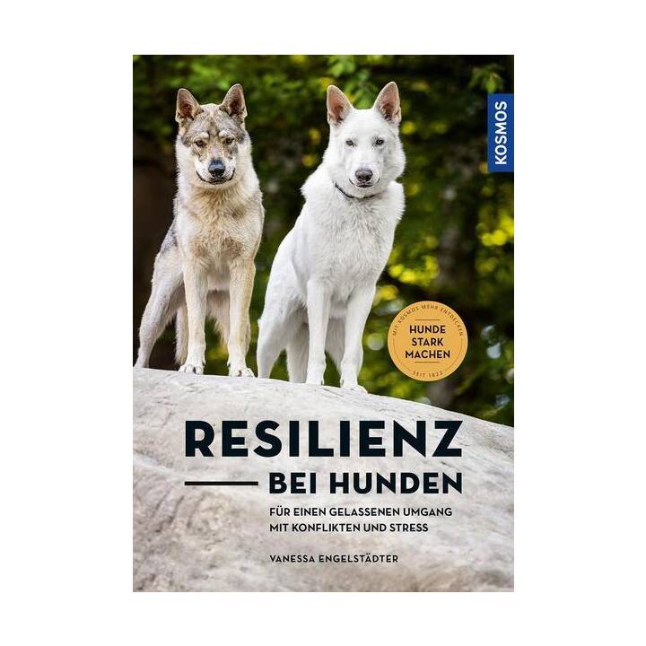 Resilienz bei Hunden