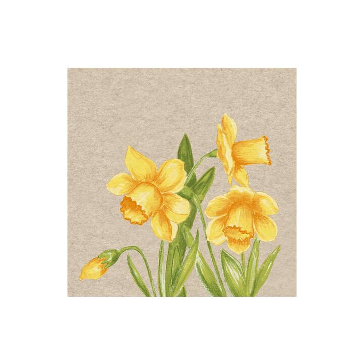 PAPER + DESIGN  Tovagliolo di carta Daffodil (33 cm x 33 cm, 25 pezzo)