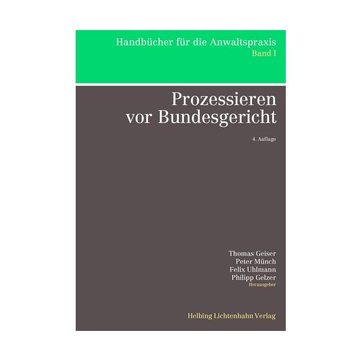 Prozessieren vor Bundesgericht