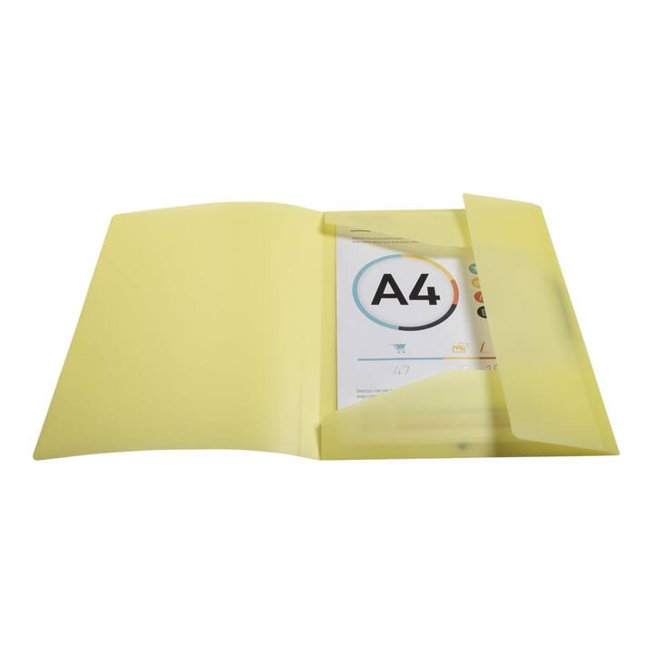 EXACOMPTA Cartellina con elastico (Multicolore, A4, 1 pezzo)