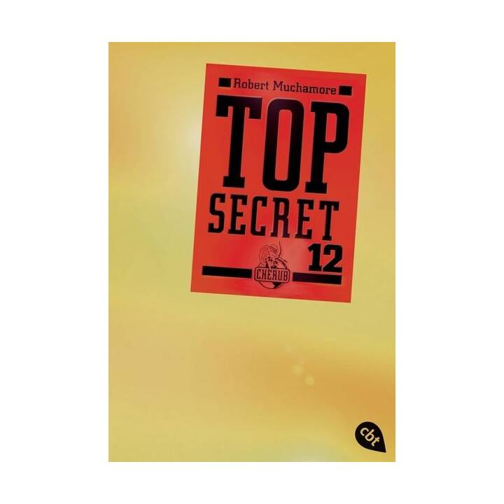 Top Secret 12. Die Entscheidung