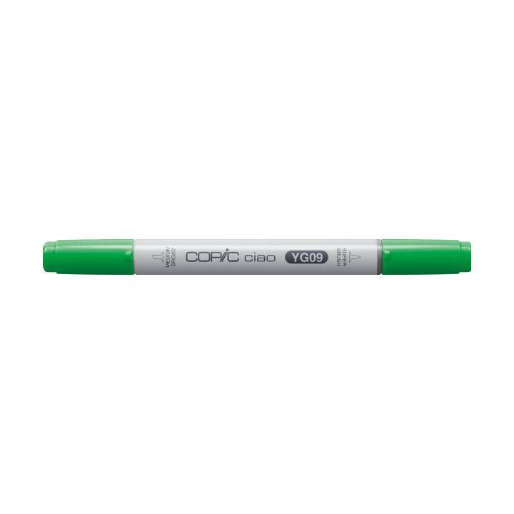 COPIC Marqueur de graphique Ciao YG09 Lettuce Green (Vert, 1 pièce)