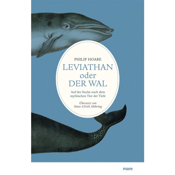 Leviathan oder Der Wal