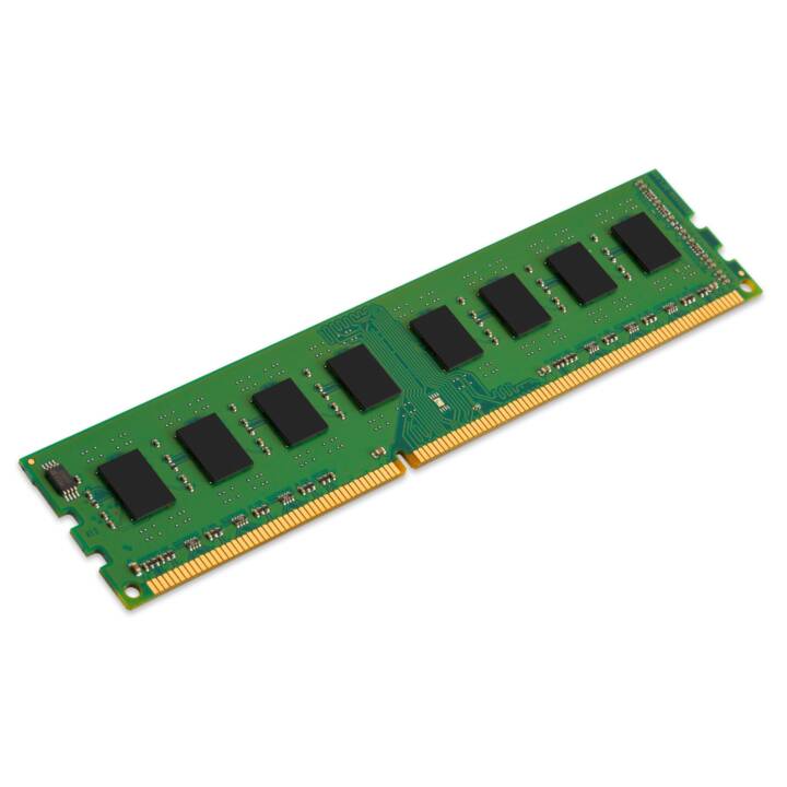 KINGSTON TECHNOLOGY KCP3L16NS8 (1 x 4 GB, DDR3L-SDRAM 1600.0 MHz, DIMM 240-Pin)