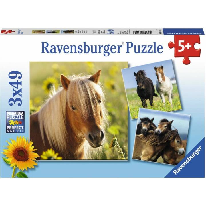 RAVENSBURGER Horses Puzzle (3 x 49 x)