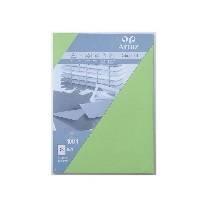 ARTOZ Carton 1001 (Vert, A4, 5 pièce)