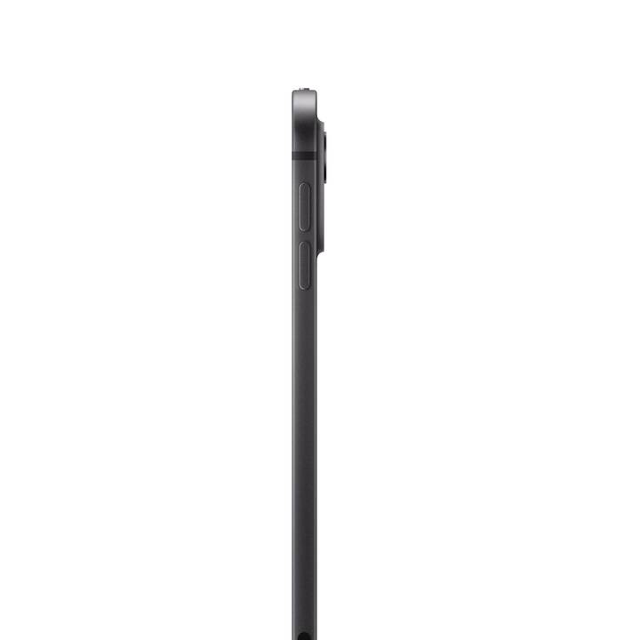 APPLE iPad Pro 11 WiFi + Cellular 2024 Nanotexture (11", 1 TB, Noir sideral)