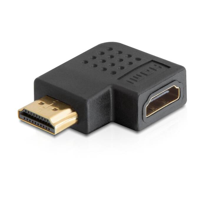 DELOCK Adattatore video (HDMI Tipo A)