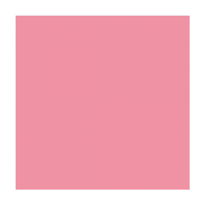 CRICUT Vinylfolie Smart (33 cm x 270 cm, Pink, Rosa)