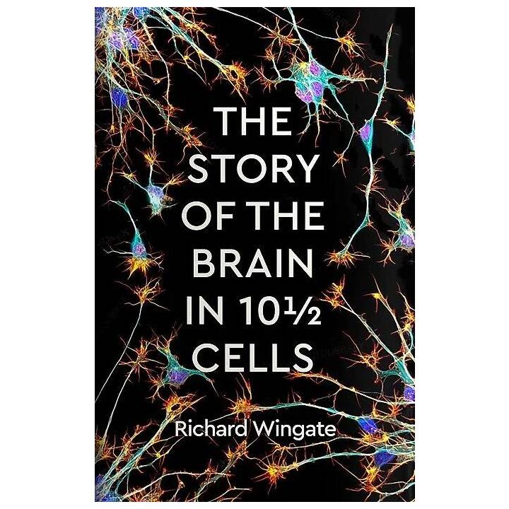 The Story of the Brain in 10½ Cells