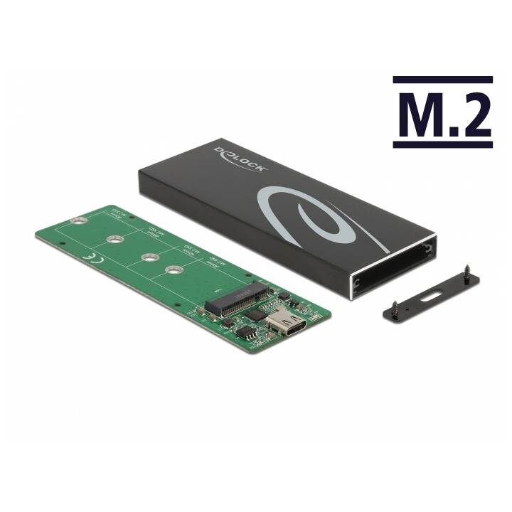 DELOCK M.2 SATA SSD mit USB Type-C (Externes Laufwerkgehäuse)