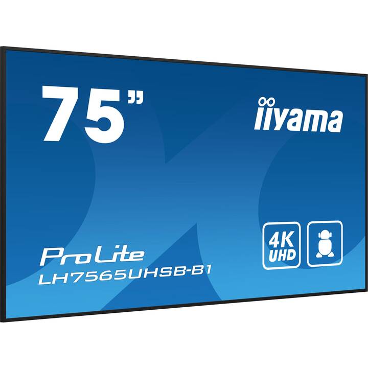 IIYAMA ProLite LH7565UHSB-B1 (74.5", 3840 x 2160)