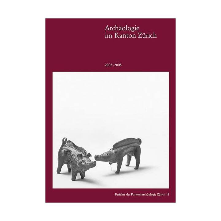 Archäologie im Kanton Zürich 2003-2005