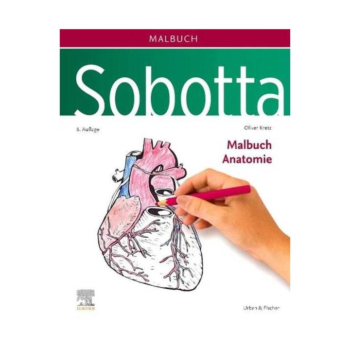 Sobotta Malbuch Anatomie