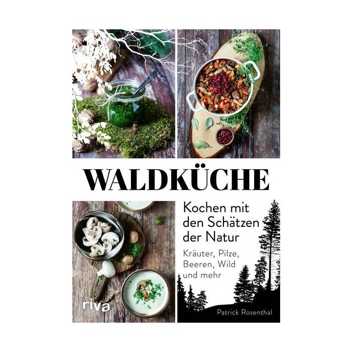 Waldküche: Kochen mit den Schätzen der Natur