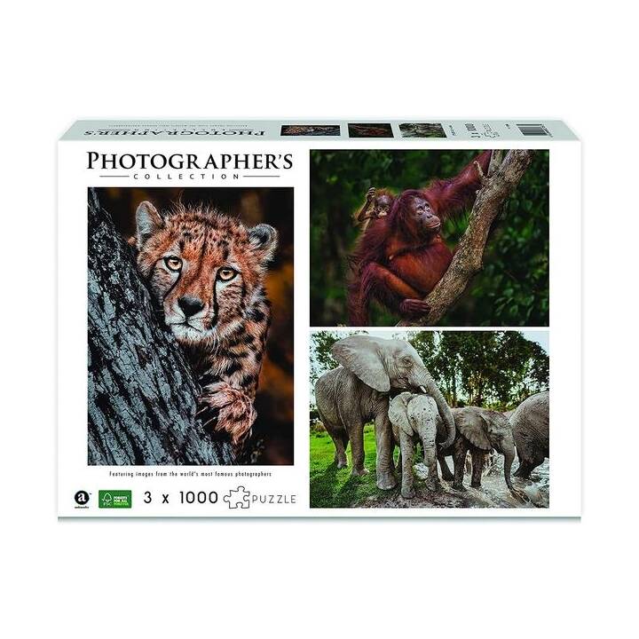 CARLETTO Wild Life Animaux Puzzle (3 x 1000 pièce)