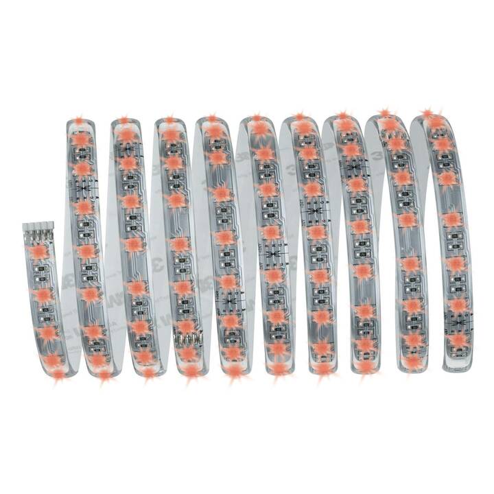 PAULMANN MaxLED LED Light-Strip