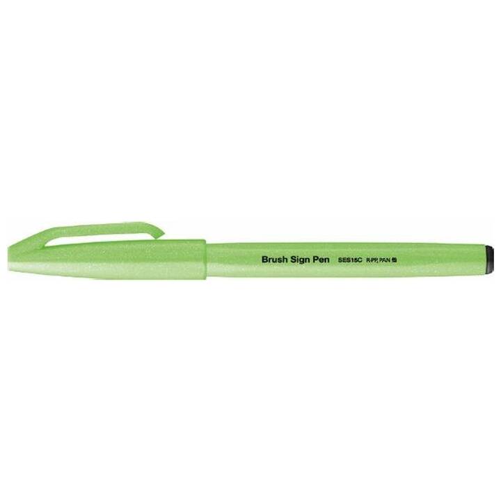 PENTEL Brush Sign Pen Pennarello (Verde chiaro, 1 pezzo)