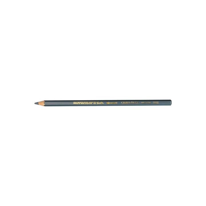 CARAN D'ACHE Crayons de couleur 136219 (Gris, 1 pièce)