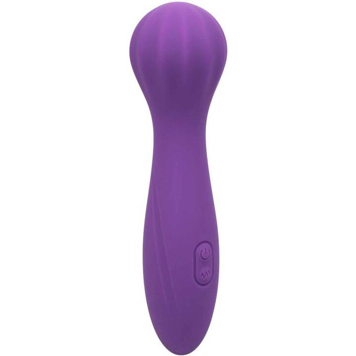 CALEXOTICS Vibrateur Anal & Vaginal Stella O Wand 