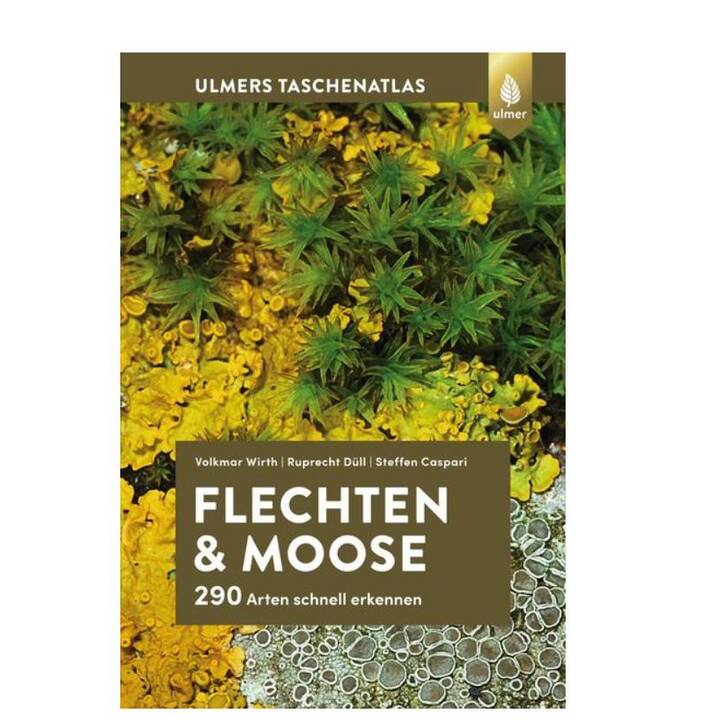 Flechten und Moose