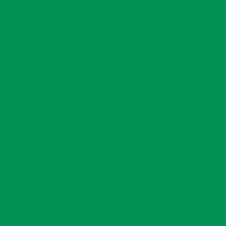 CRICUT Pellicola vinilica (33 cm x 370 cm, Verde)