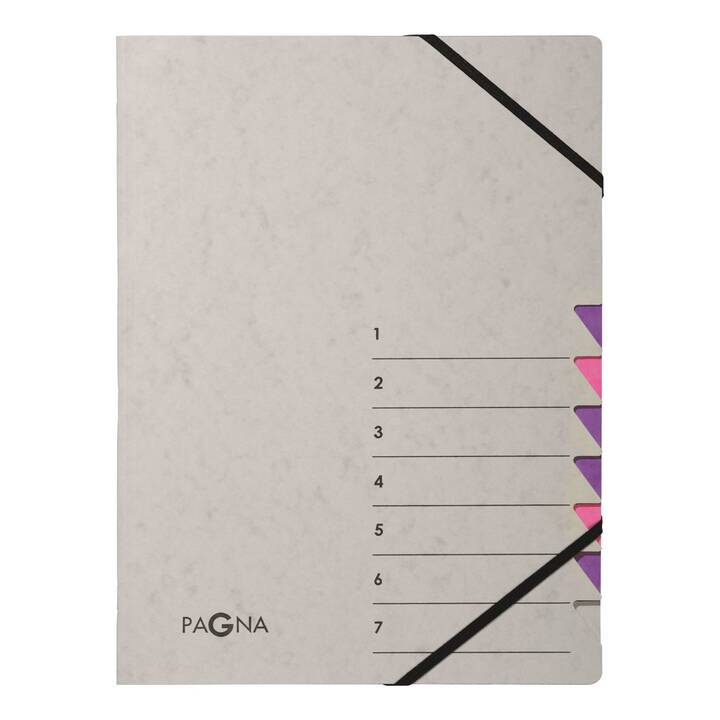 PAGNA Archivio a soffietto Easy (Grigio, A4, 1 pezzo)