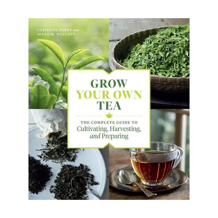 Grow Your Own Tea