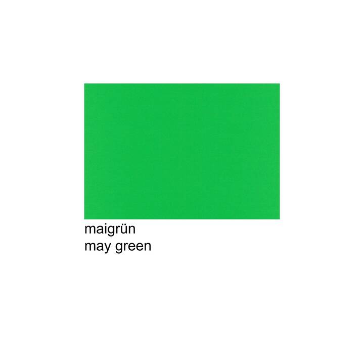 SCALDIA Papier à dessin de couleur (Vert, A3)