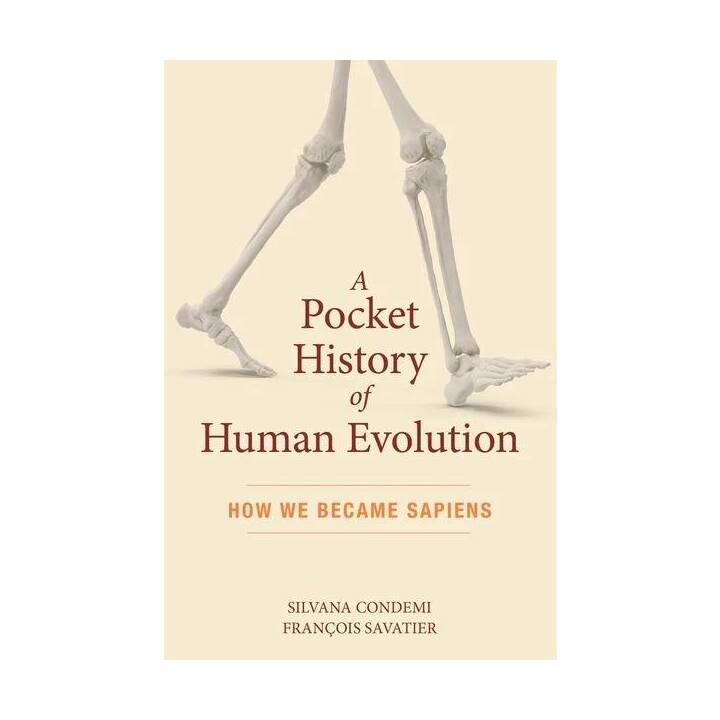 A Pocket History of Human Evolution