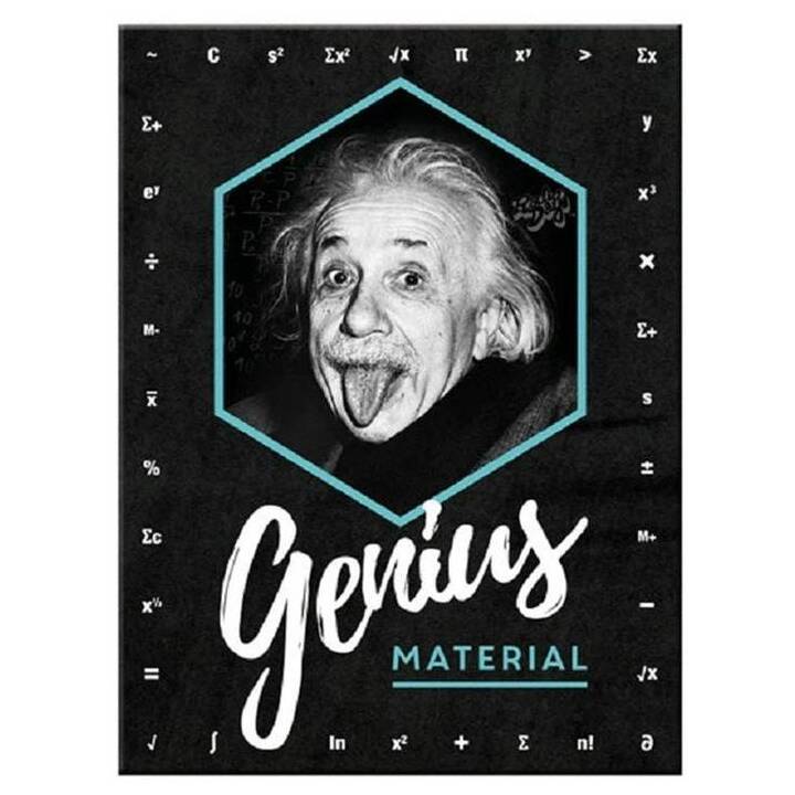 NOSTALGIC ART Einstein Punaises magnétique