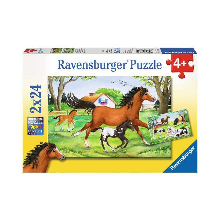 RAVENSBURGER Tiere Puzzle (2 x 24 x)