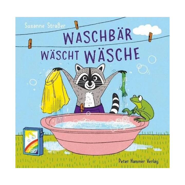 Waschbär wäscht Wäsche