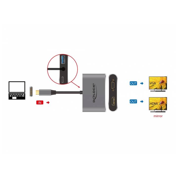 DELOCK Stations d'accueil 64074 (HDMI, VGA, USB 3.1 de type A, USB 3.1 de type C)