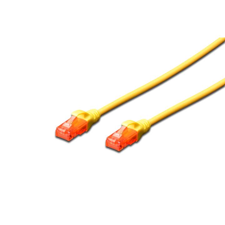 ASSMANN ELECTRONIC Netzwerkkabel (RJ-45, RJ-21, 1 m)